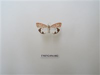 藏品(擬三色星燈蛾)的圖片